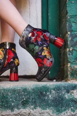 Bottines - GUCSTOO 10 | Laura Vita Online