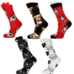 Chaussettes en lot de 5 paires | Laura Vita Clearance