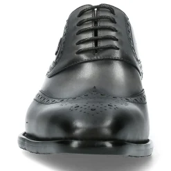 Chaussure Homme ALOYS 03 | Laura Vita Online