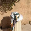 Foulard Lotus | Laura Vita Cheap